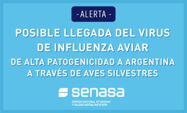 Alerta por la posible llegada del virus de influenza aviar