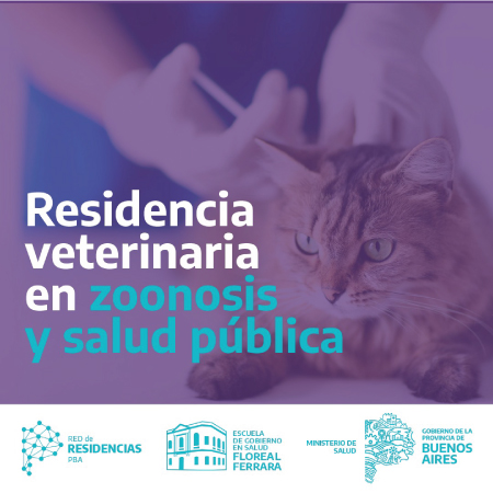 INFOGRAFIA RVZSP previo