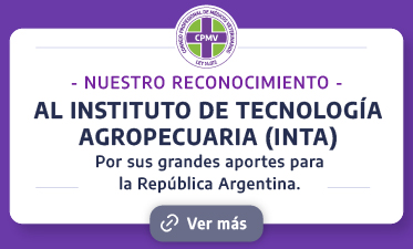 Nuestro reconocimiento