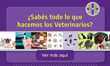 ¿Sabés todo lo que hacemos los Veterinarios?