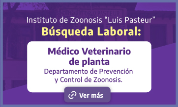 Búsqueda Laboral