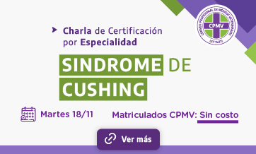 Charla: SINDROME de CUSHING