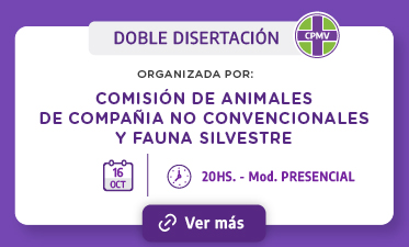 DOB DISERT 16 10 CPMV2025
