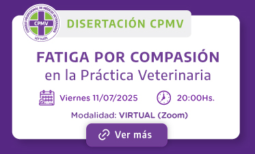 Fatiga por compasión en la Práctica Veterinaria