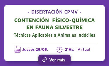 Disertación CPMV