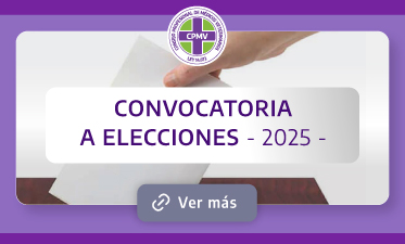 Convocatoria a Elecciones 2025