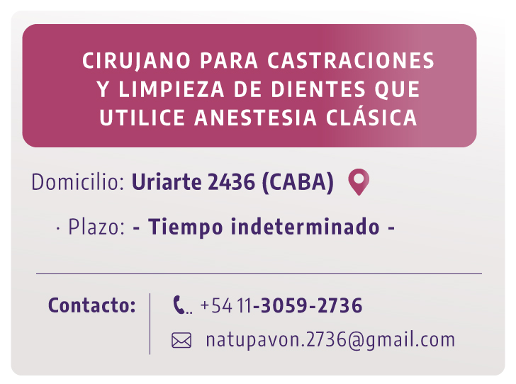 Aviso 17 10 2025