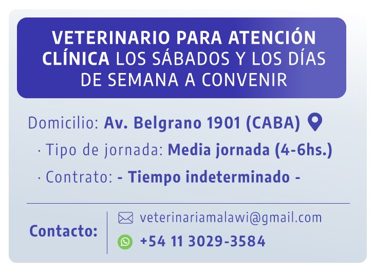 Avisos 31 3 2025