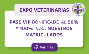 Prueba Pase VIP 100%