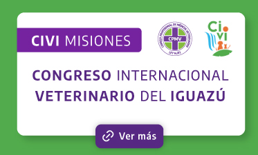 CIVI Misiones