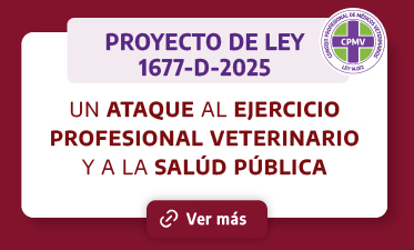 Repudio al Proyecto de Ley 1677-D-2025