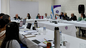 CPMV FEVA 005 prev