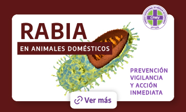 alerta esporotricosis CPMV