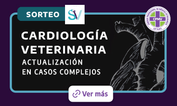 formulario