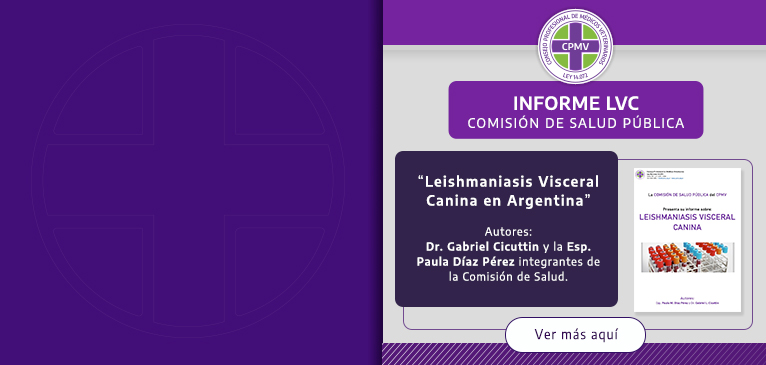 Informe LVC